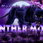 Cara Maxwin Panther Moon