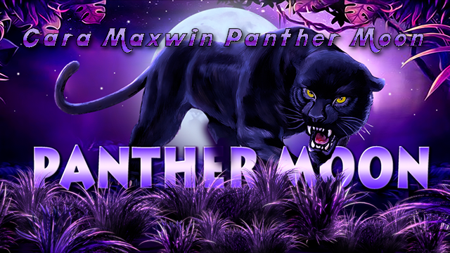 Cara Maxwin Panther Moon